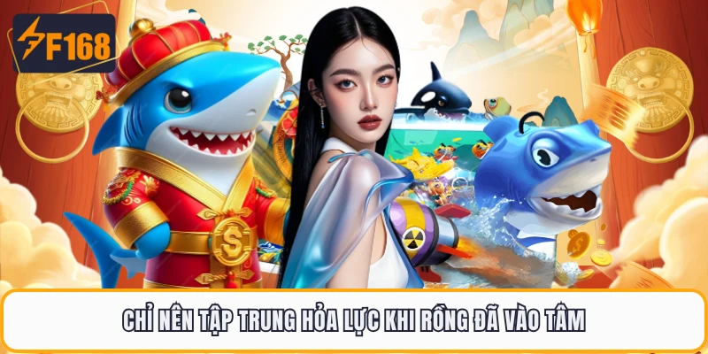 Chỉ nên tập trung hỏa lực khi rồng đã vào tâm